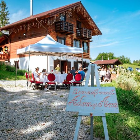 Tulean Cabin Săcel Exterior foto
