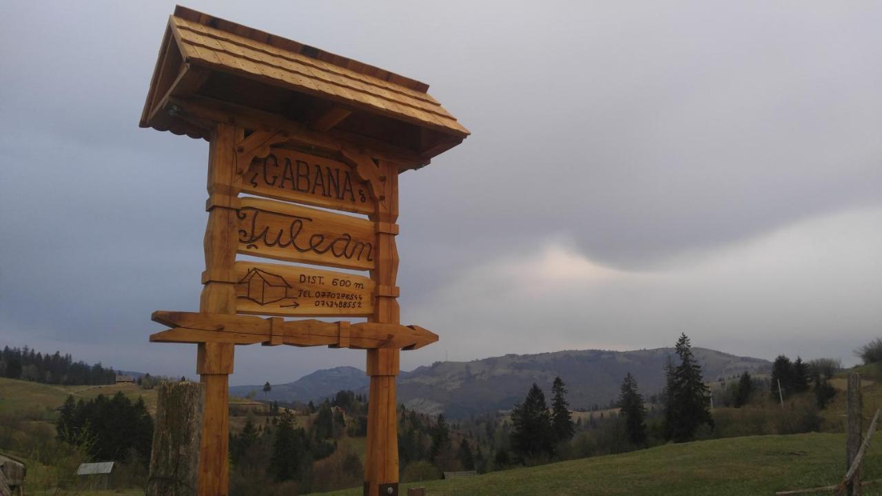 Tulean Cabin Săcel Exterior foto