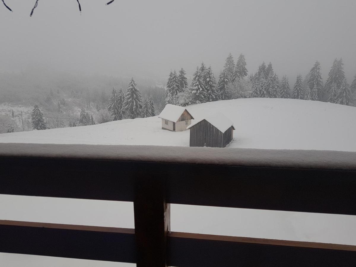 Tulean Cabin Săcel Exterior foto